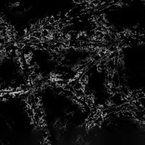 Newmatic NERO MARQUINA ICECRACK Quartz Countertop