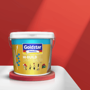 GOLDSTAR PAINT Gold Star Hg Build Damp/Sealer  5 Kg White