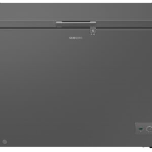 Samsung 287L Dark Grey, Premium Design F29V