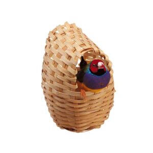 Bird Accessories