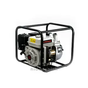 Crown Professional Crown Petrol Water Pump 5.5HP CT35001
