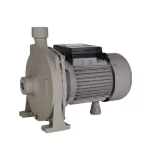 Crown Professional Crown Water Pump Centrifugal 1HP 750W CT35062