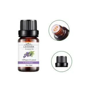 Faith Essential Oils for Aroma Diffuser - Water-Soluble Air Freshener Scents in 10ml Size for Home Humidifiers and Fragrance Oil Perfumes
