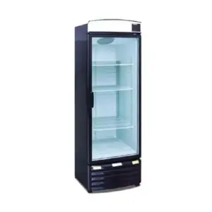 Hotel Appliances Generic Commercial Single Glass Door Fridge 230L