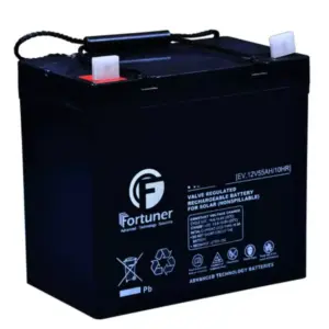 Fortuner Solar Inverter Fortuner Deep Cycle Solar Battery FR12-50D (EX-E)