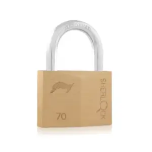Godrej Locks Godrej Ultra Sherlock Padlock 16 Pin 70mm with 3 Keys, Blister Finish