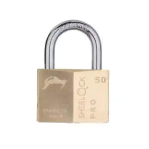 Godrej Locks Godrej Sherlock Pro Premium Solid Brass Padlock 50mm with 5 Keys