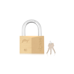 Godrej Locks Godrej Locking Solutions and Systems Locks Sherlock 60mm Blister, High Precision Brass Pin Tumbler Mechanism, Anti-Pick Technology to Enhance Security Brass finish 2pcs 2593