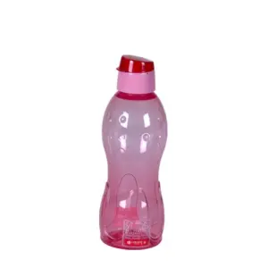 Lionstar Sport Bottle 600ml Akvo NH-79 Leakproof BPA Free Water Bottle for School/Sports