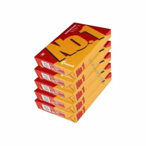 Deli Stationery Mondi No.1 Photocopy Paper A4 Size Multifunctional 80GM Pack of 5