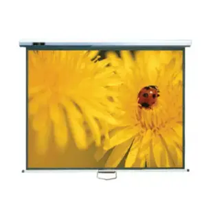 Office Point Projector Screen Wall Mount 50'x50' (70") W50