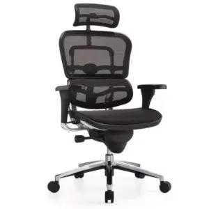 Trix Generic Office Chair Fully Adjustable Black HL-01