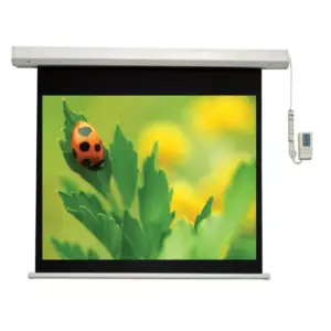 Office Point Projector Screen Electric 80'x'80' (115") E80
