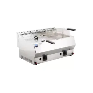 Remta LPG Gas Fryer 5+5L Industrial Type with Thermostat Heat Safety, Removable Oil Tank & Basket, SS Body R95