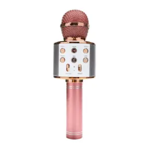 Faith Portable Bluetooth Karaoke Microphone Wireless Professional Speaker Home KTV Handheld Microphone WS858
