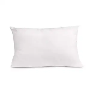 TanFoam Papello Pillows Xtra Large (20x36"),100% cotton Synthetic Fibre
