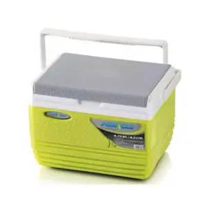 Pinnacle Cooler Box 4.5L, Small & Handy, Compact Size for Lunch TPX6006