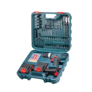 Ronix Cordless Drill Driver 18V 10mm with 53pcs Bit Set RS-8019