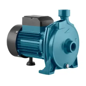 Ronix 2023 House centrifugal water pump land Pump with motor  2850RPM 1hp RH-4021