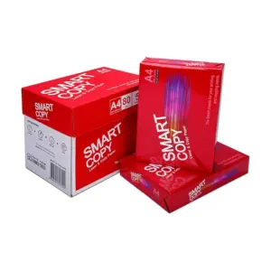Generic Smart Copy Printing Paper - A4, 80 gsm, 500 Sheets, High-Quality Copy Paper for Everyday Use (Pack of 5 Reams)