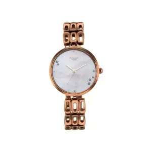 Titan Watch Titan Raga Chic Analog Mother of Pearl Dial Watch for Women with Brown Metal Strap 2659QM01