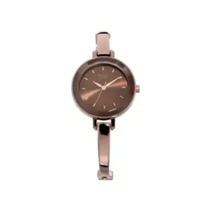 Titan Watch Titan Raga Viva Refresher Quartz Analog Brown Dial Watch for Women with Metal Strap 2575QM02