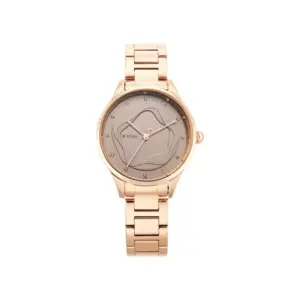 Titan Watch Titan Wander Analog Brown Dial Watch for Women with Rose Gold Stainless Steel Strap 2649WM03