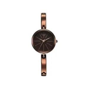 Titan Watch Titan Raga Viva Quartz Analog Brown Dial Watch for Women with Brown Metal Strap NS2606QM03