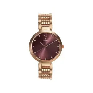 Titan Watch Titan Sparkle Quartz Analog Purple Dial Watch for Women with Rose Gold Stainless Steel Strap 2480WM02