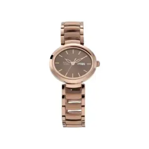 Titan Watch Titan Raga Viva 3 Analog Brown Dial Watch for Women with Day & Date, Metal Strap 2620QM01