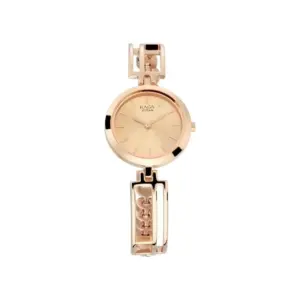 Titan Watch Titan Raga Viva 3 Analog Rose Gold Dial Watch for Women with Metal  Strap 2622WM01