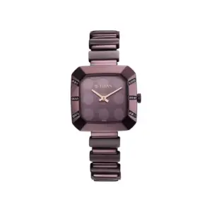Titan Watch Titan Glitz Quartz Analog Purple Dial Watch for Women with Metal & Plastic Strap 95208QD01