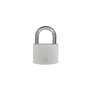 Yale Padlock 70mm Boron with Silver Finish