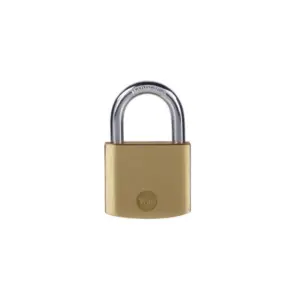 Yale Padlock 60mm Boron With Brass Polished