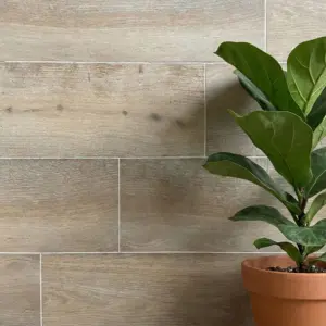 CTM South Africa Kilimanjaro Edge Amarula Natural Rectified Matt Porcelain Floor Tile - 300 x 1000mm