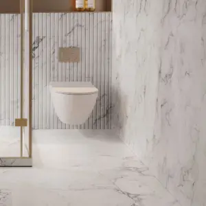 CTM South Africa Juniper White Ceramic Wall Tiles - 300 x 900mm