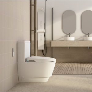 WC Toilet BTW Smart Complete FUTURA Sanitana