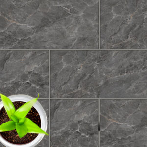 CTM South Africa Adex Gris Polished Porcelain Floor Tiles 600 x 1200 mm