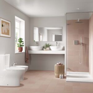 WC Toilet Complete Single Fst BTW POP ART Sanitana