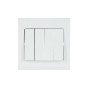 Africab ABB Switch 4G2W Switch