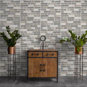 CTM South Africa Muretto Grey Matt Ceramic Wall Tile - 300 x 600mm