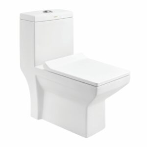 CERA Toilet One Piece (P)
