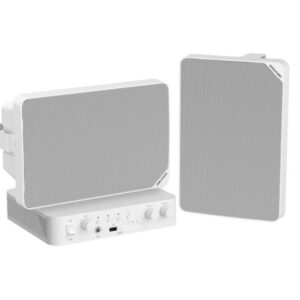 Hikvision 1pc 80W Smart IP amplifier+ 2pc 20W Analog Cabinet speaker, 1 Year Warranty
