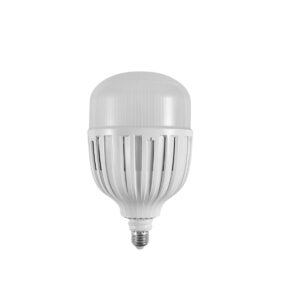 Tronic LED Daylight Bulb 100W Screw