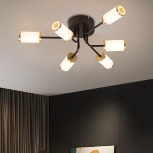 Africab Ceiling Lamp Iron+Acrylic Brown+Gold Color LED 6*10W