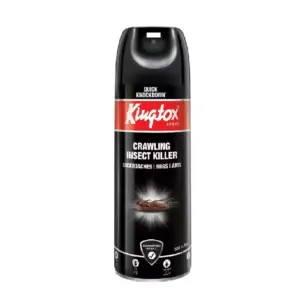 Kingtox Crawling Insects Killer Spray, Maximum Strength, Black 600ml
