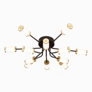 Africab Ceiling Lamp Iron+Acrylic Brown+Gold Color LED 12*10W