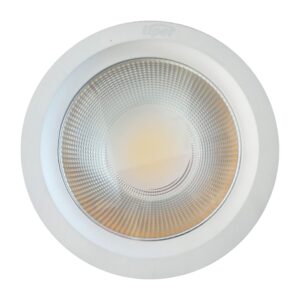 Africab Down Light LED Liper Lp-Cob30B 30W Warm