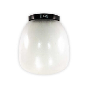 Tronic White Metal and Sandblasted Glass Ceiling Light