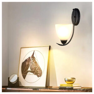 Tronic Curved Black Metal Frame With Elegant Wall Lamp
